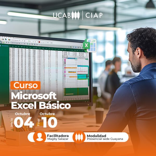 Curso. Microsoft Excel Básico.