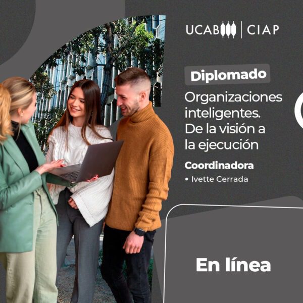 Diplomado. Organizaciones inteligentes. De la visión a la ejecución.