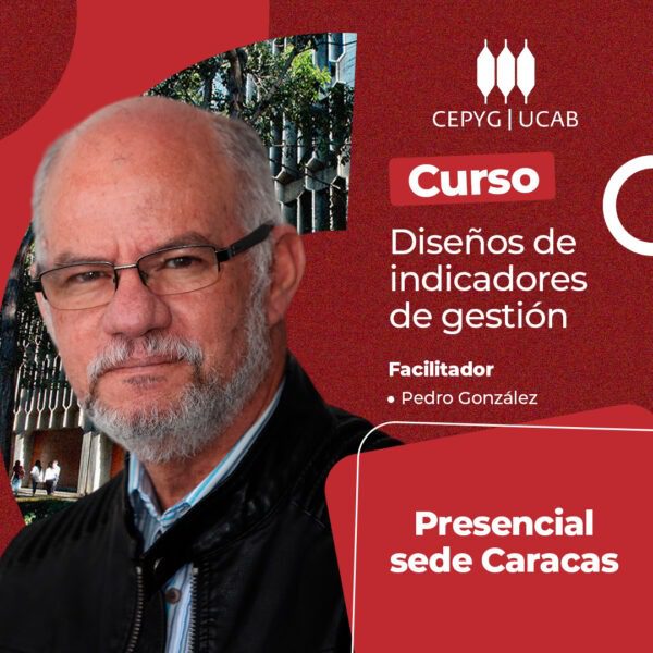 Curso. Diseño de indicadores de gestión.