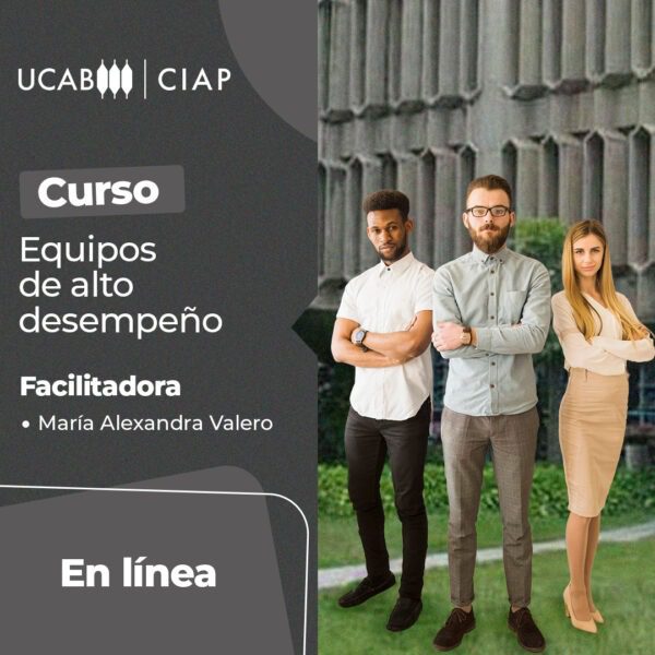 Curso. Equipos de alto desempeño.