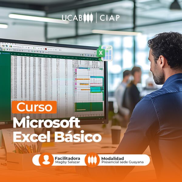 Curso. Microsoft Excel Básico.