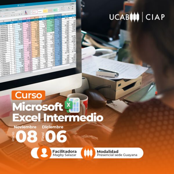 Curso. Microsoft Excel Intermedio.