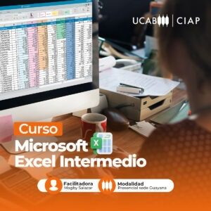 Microsoft excel intermedio